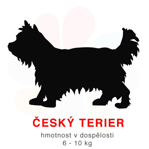 Krmimjinak Cesky Terier barf masem
